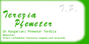 terezia pfemeter business card