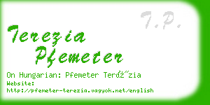 terezia pfemeter business card